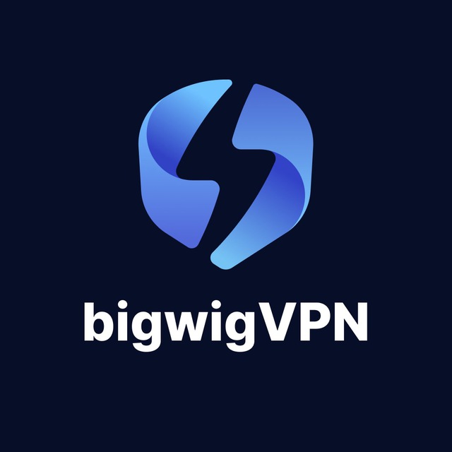 bigwigVPN logo